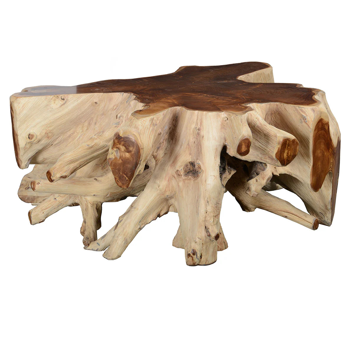 Groot Teak Root Coffee Table OL