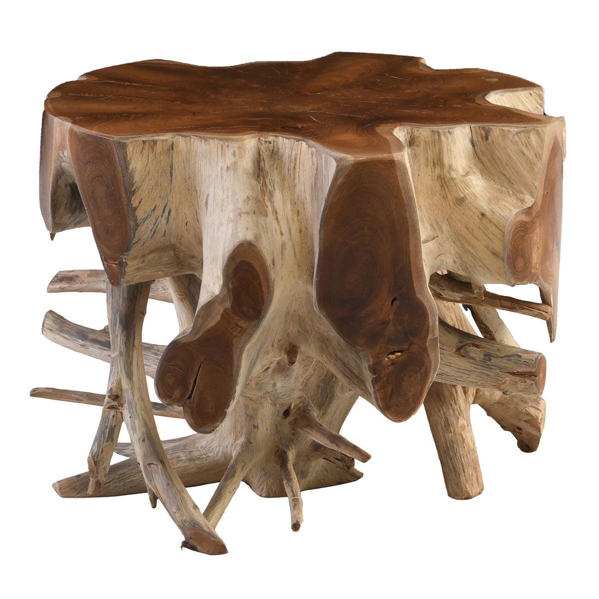 Groot Teak Root End Table OL