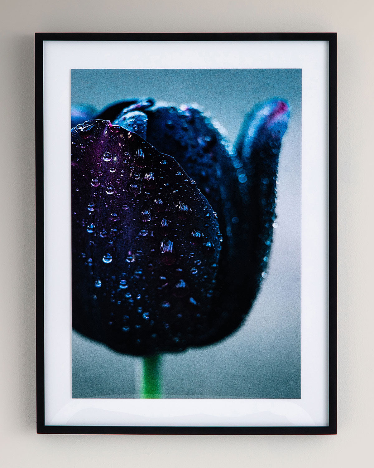 Waterdrops Print