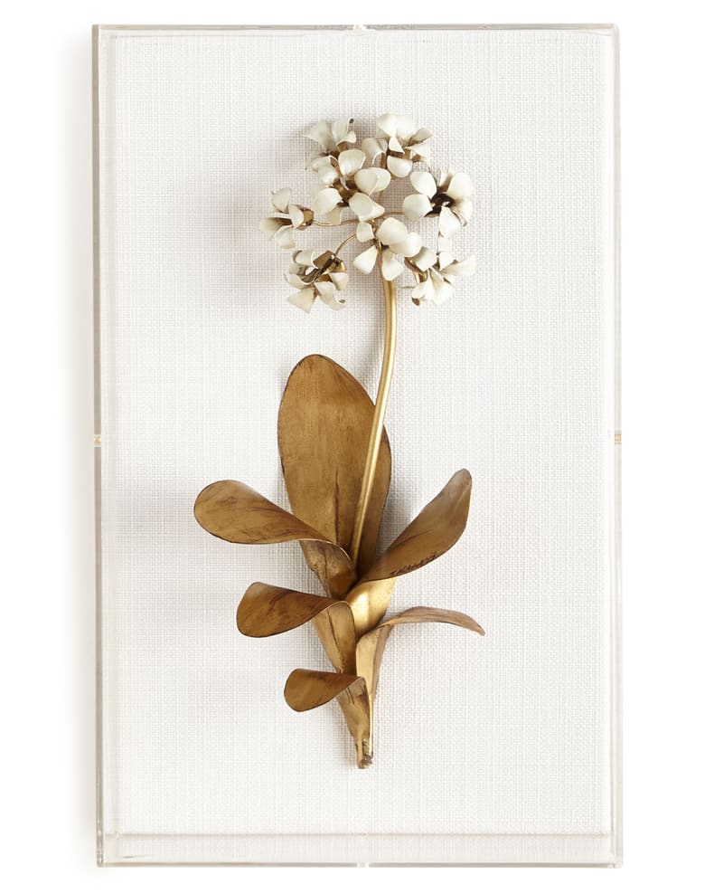 Original Gilded Primula Study