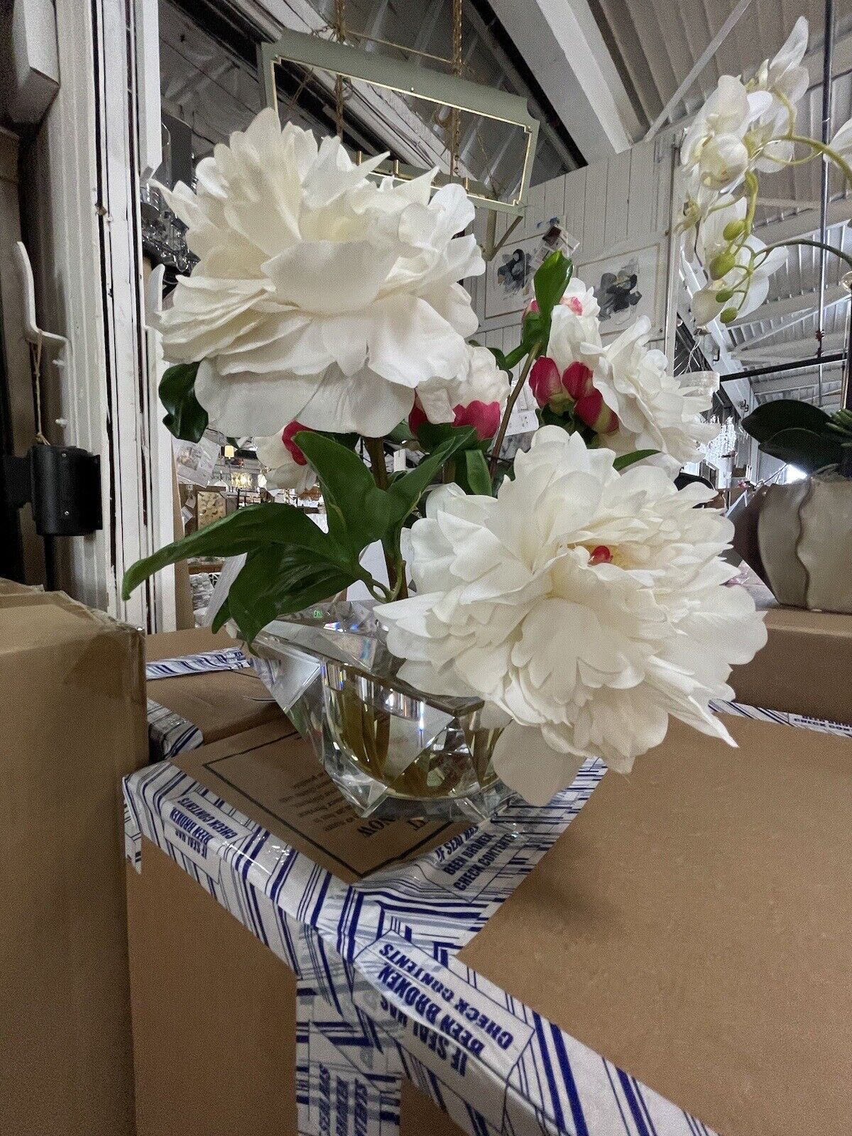 Floating White Peonies