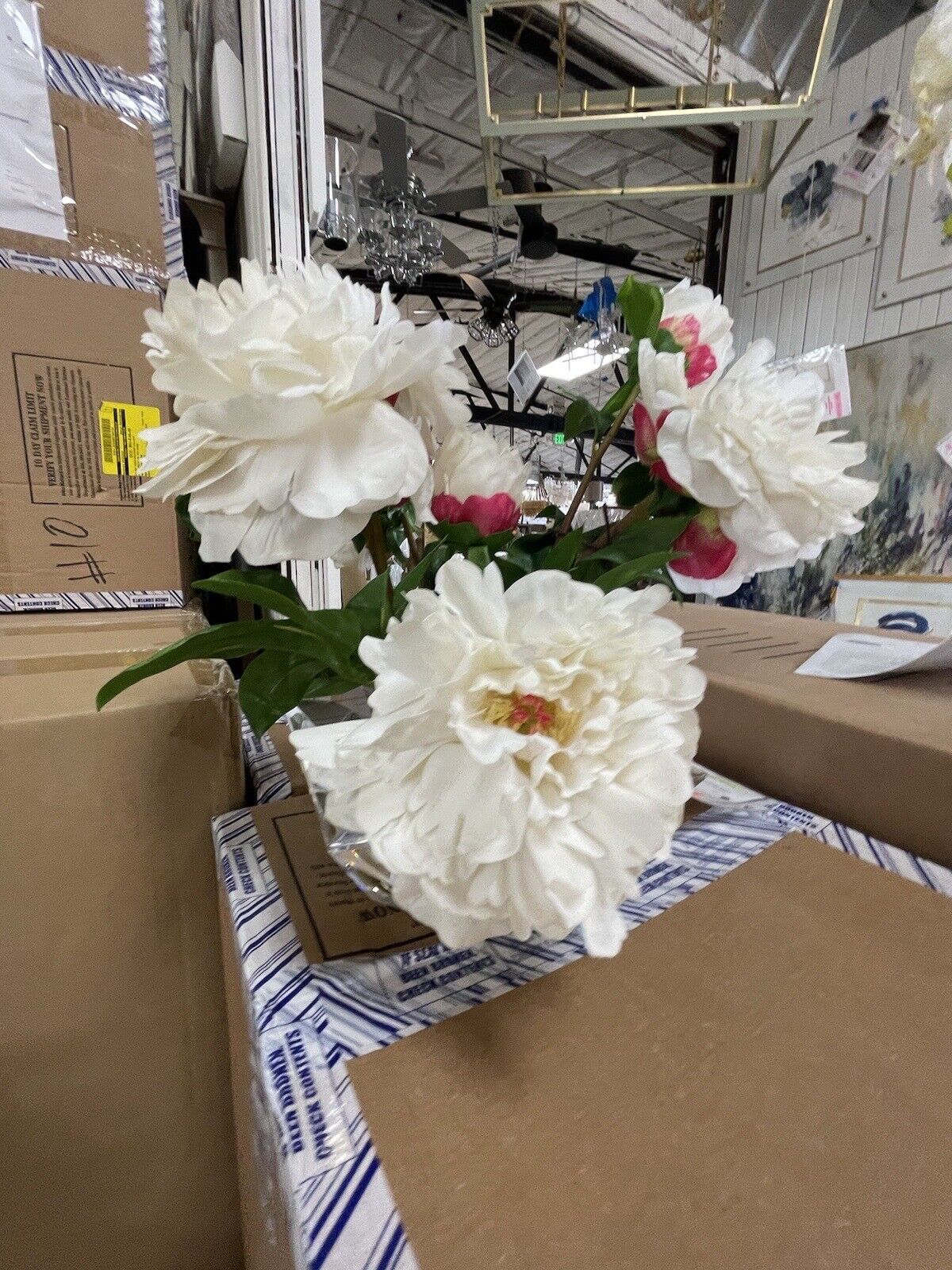 Floating White Peonies