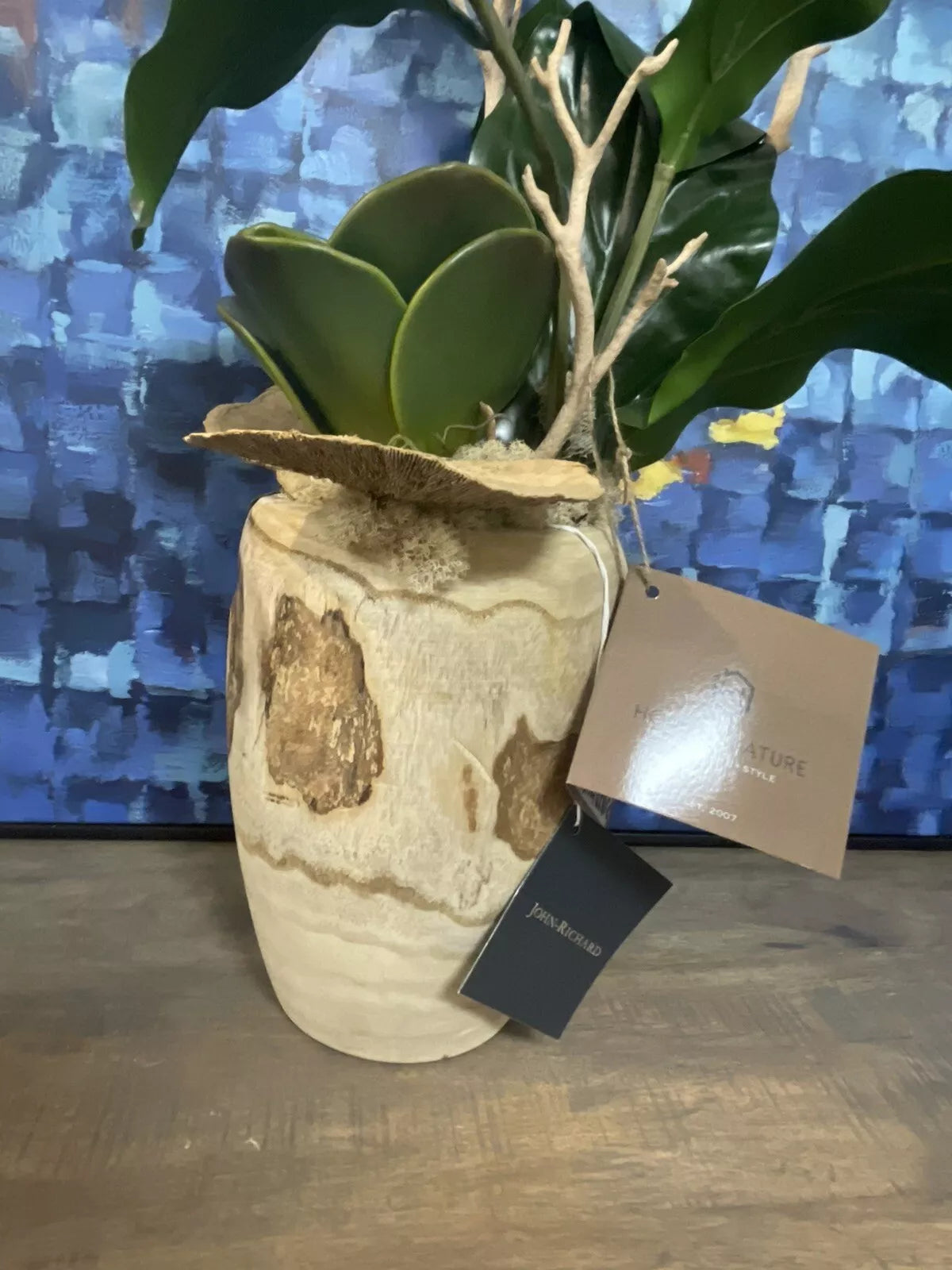 Medinilla Magnifica