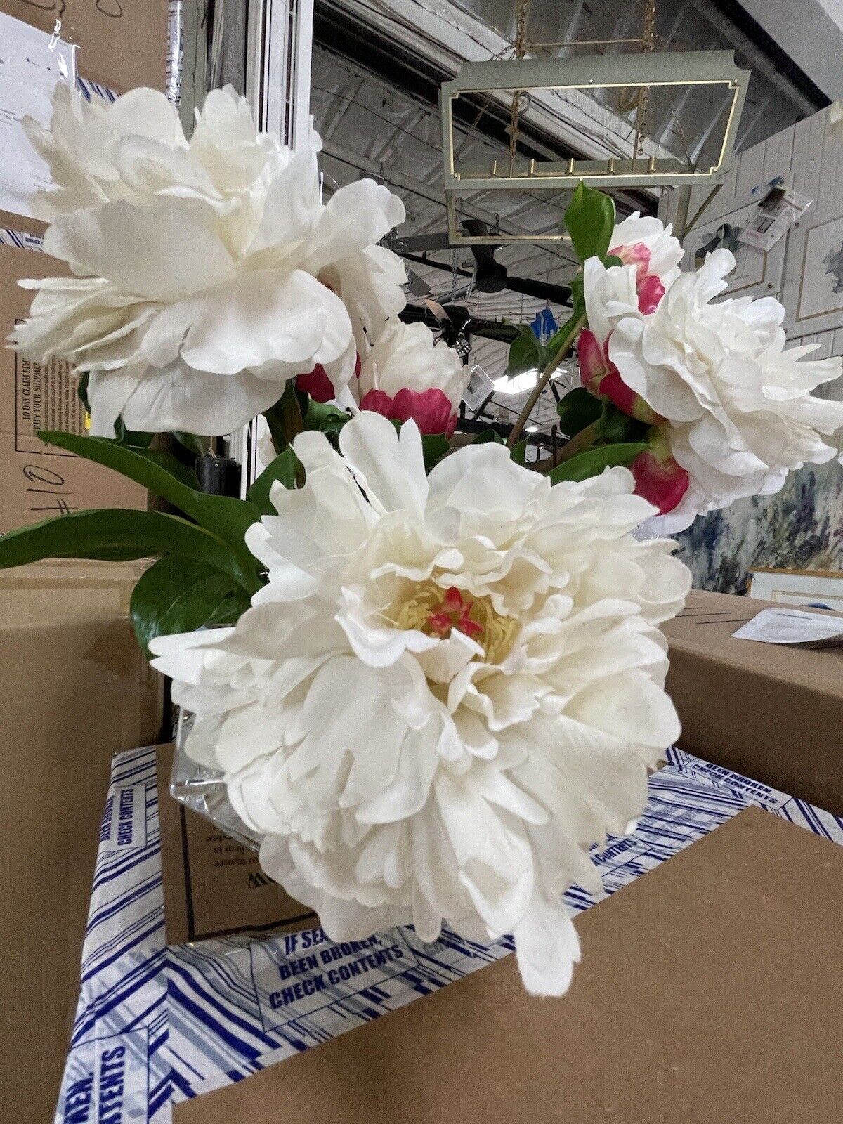 Floating White Peonies