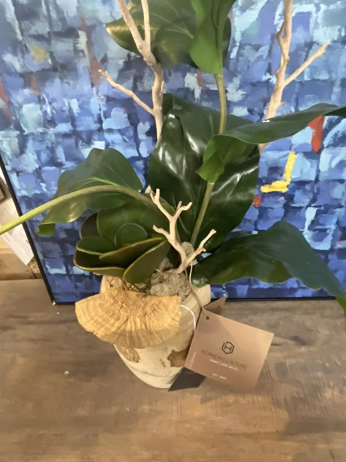 Medinilla Magnifica