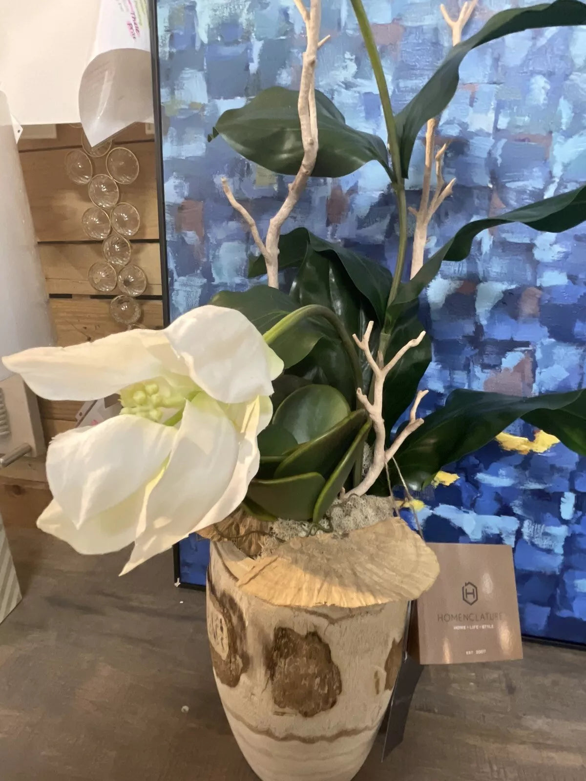 Medinilla Magnifica