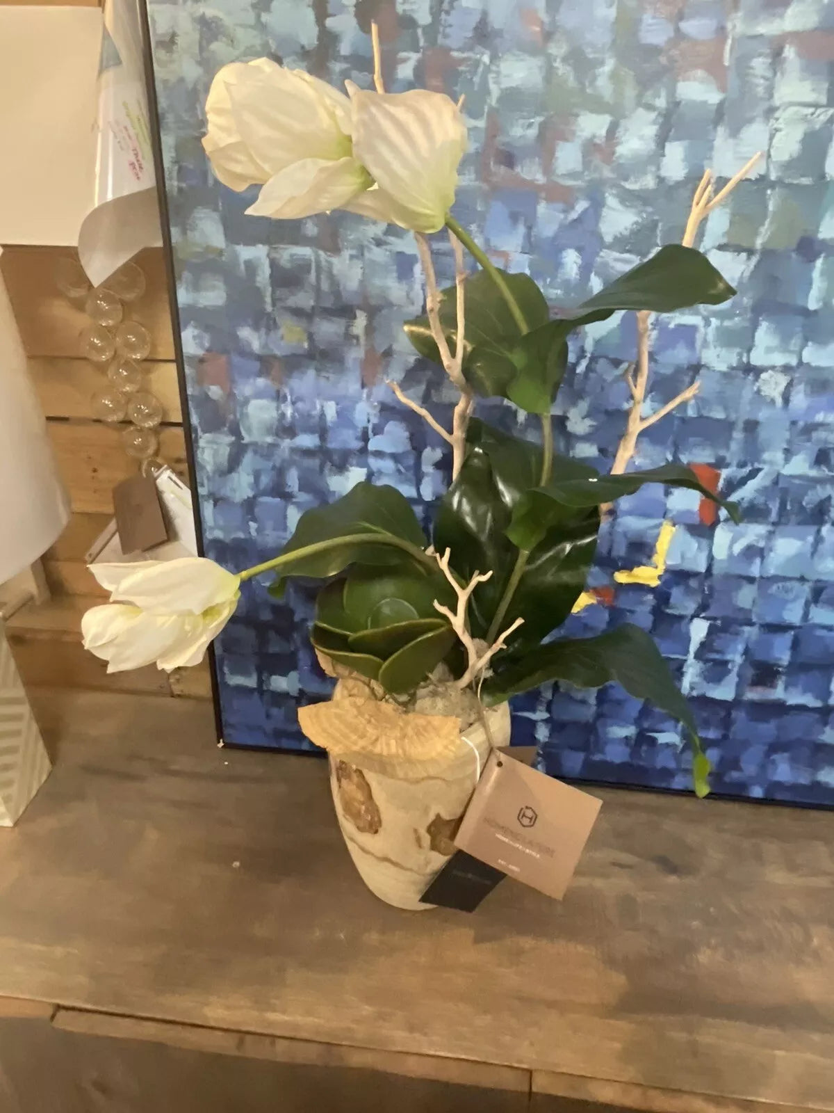 Medinilla Magnifica